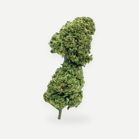 Fruitcake (Greenhouse)