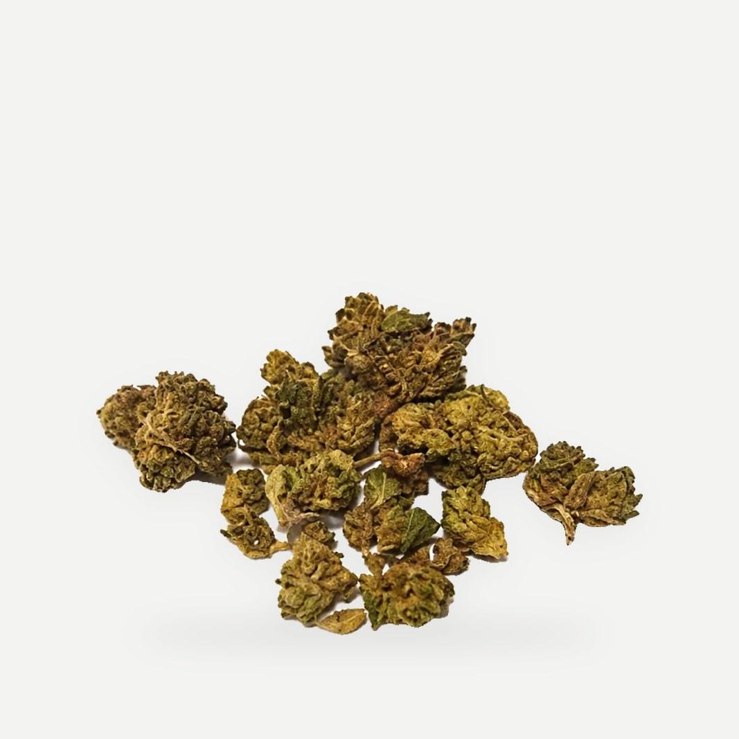 FLOR HPC