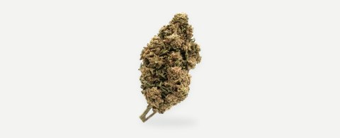 Lemon Haze (Greenhouse)