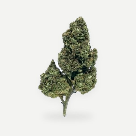 Zklitez (Greenhouse)