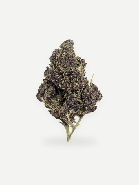 Purple Haze (Greenhouse)