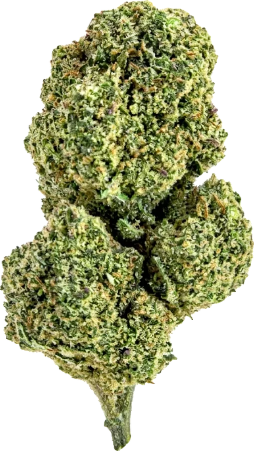 Skywalker (Indoor)